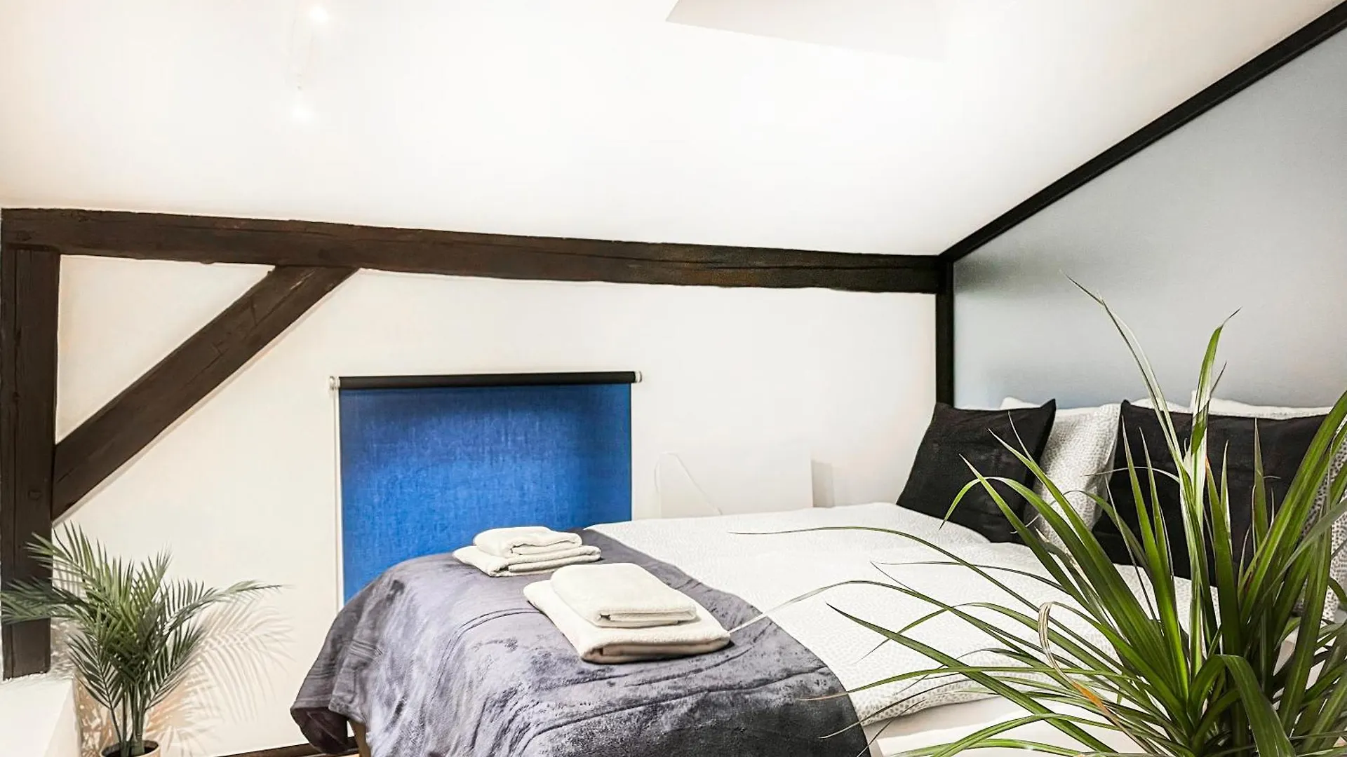 Apartment Premium Jacuzzi, Old Town Cracow Krakow